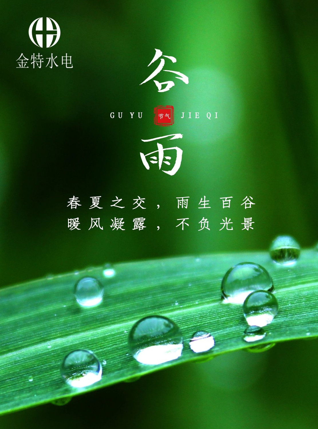 谷雨时节丨听春雨连连看百谷新生